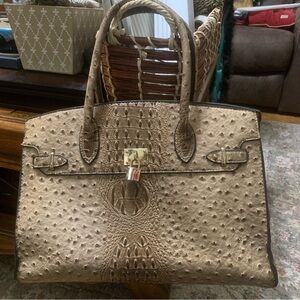 Virginia Ostrich & Croc Structured Satchel.